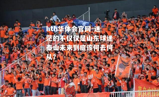 迷茫的不仅仅是山东球迷泰山未来到底该何去何从？